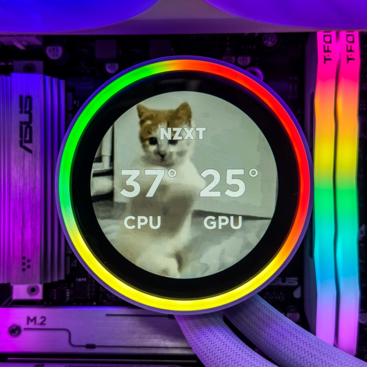 Gaming PC V100 (Ryzen 7 9700X, 32 GB DDR5 RAM, RTX 5060 Ti 16GB GPU)