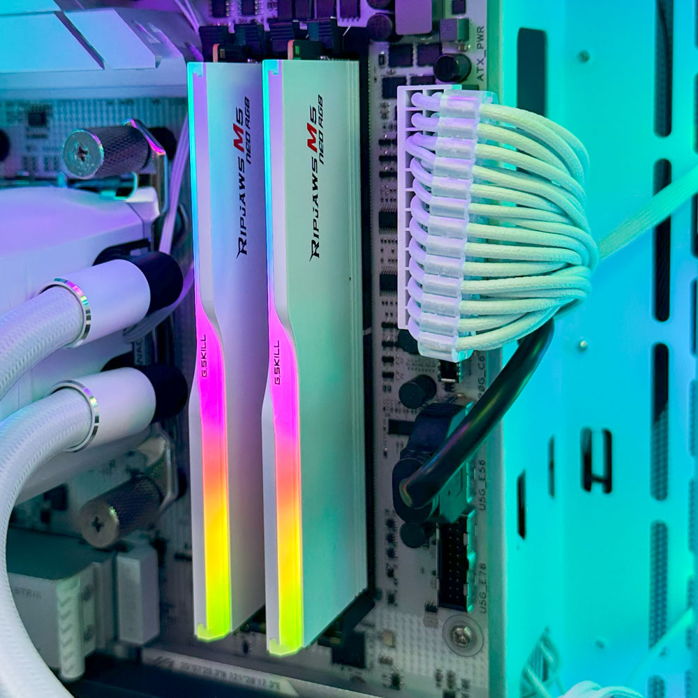 Ripjaws Gaming PC (AMD Ryzen 7 9800X3D CPU, RTX 5090 OC 32GB GPU, 64GB RAM)